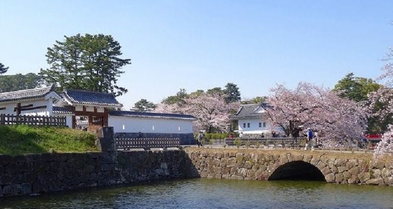 小田原城めがね橋と桜