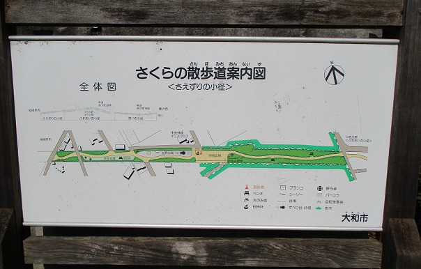 桜の散歩道案内図